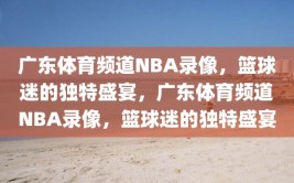 广东体育频道NBA录像，篮球迷的独特盛宴，广东体育频道NBA录像，篮球迷的独特盛宴