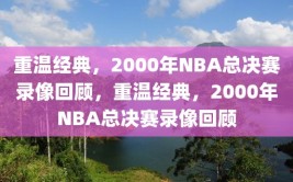 重温经典，2000年NBA总决赛录像回顾，重温经典，2000年NBA总决赛录像回顾