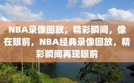 NBA录像回放，精彩瞬间，像在眼前，NBA经典录像回放，精彩瞬间再现眼前