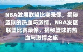 NBA发展联盟比赛录像，揭秘篮球的热血与激情，NBA发展联盟比赛录像，揭秘篮球的热血与激情之旅