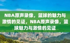 NBA原声录像，篮球的魅力与激情的见证，NBA原声录像，篮球魅力与激情的见证