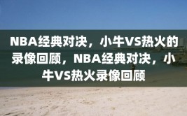 NBA经典对决，小牛VS热火的录像回顾，NBA经典对决，小牛VS热火录像回顾