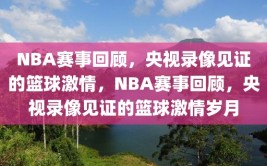 NBA赛事回顾，央视录像见证的篮球激情，NBA赛事回顾，央视录像见证的篮球激情岁月