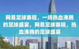 网易足球赛程，一场热血沸腾的足球盛宴，网易足球赛程，热血沸腾的足球盛宴