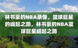 林书豪的NBA录像，篮球巨星的崛起之路，林书豪的NBA篮球巨星崛起之路