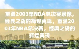 重温2003年NBA总决赛录像，经典之战的辉煌再现，重温2003年NBA总决赛，经典之战的辉煌再现