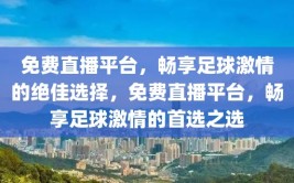 免费直播平台，畅享足球激情的绝佳选择，免费直播平台，畅享足球激情的首选之选