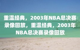 重温经典，2003年NBA总决赛录像回放，重温经典，2003年NBA总决赛录像回放