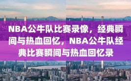 NBA公牛队比赛录像，经典瞬间与热血回忆，NBA公牛队经典比赛瞬间与热血回忆录