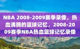 NBA 2008-2009赛季录像，热血沸腾的篮球记忆，2008-2009赛季NBA热血篮球记忆录像