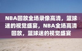 NBA回放全场录像高清，篮球迷的视觉盛宴，NBA全场高清回放，篮球迷的视觉盛宴