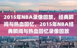 2015年NBA录像回放，经典瞬间与热血回忆，2015年NBA经典瞬间与热血回忆录像回放