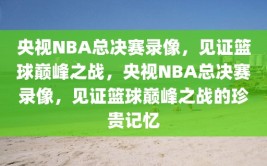 央视NBA总决赛录像，见证篮球巅峰之战，央视NBA总决赛录像，见证篮球巅峰之战的珍贵记忆