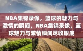 NBA集锦录像，篮球的魅力与激情的瞬间，NBA集锦录像，篮球魅力与激情瞬间尽收眼底