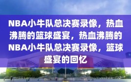 NBA小牛队总决赛录像，热血沸腾的篮球盛宴，热血沸腾的NBA小牛队总决赛录像，篮球盛宴的回忆