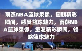 雨燕NBA篮球录像，回顾精彩瞬间，感受篮球魅力，雨燕NBA篮球录像，重温精彩瞬间，领略篮球魅力