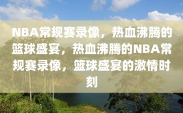 NBA常规赛录像，热血沸腾的篮球盛宴，热血沸腾的NBA常规赛录像，篮球盛宴的激情时刻