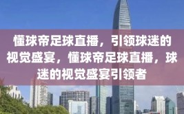 懂球帝足球直播，引领球迷的视觉盛宴，懂球帝足球直播，球迷的视觉盛宴引领者