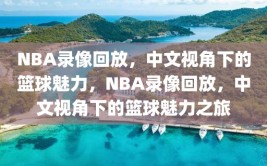 NBA录像回放，中文视角下的篮球魅力，NBA录像回放，中文视角下的篮球魅力之旅