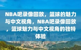 NBA吧录像回放，篮球的魅力与中文视角，NBA吧录像回放，篮球魅力与中文视角的独特体验