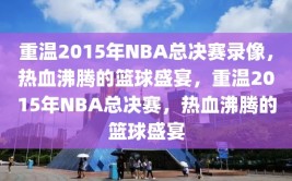 重温2015年NBA总决赛录像，热血沸腾的篮球盛宴，重温2015年NBA总决赛，热血沸腾的篮球盛宴