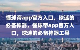 懂球帝app官方入口，球迷的必备神器，懂球帝app官方入口，球迷的必备神器工具