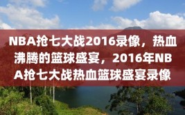 NBA抢七大战2016录像，热血沸腾的篮球盛宴，2016年NBA抢七大战热血篮球盛宴录像