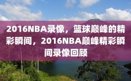 2016NBA录像，篮球巅峰的精彩瞬间，2016NBA巅峰精彩瞬间录像回顾