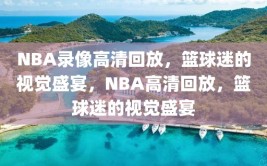 NBA录像高清回放，篮球迷的视觉盛宴，NBA高清回放，篮球迷的视觉盛宴