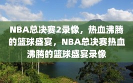 NBA总决赛2录像，热血沸腾的篮球盛宴，NBA总决赛热血沸腾的篮球盛宴录像