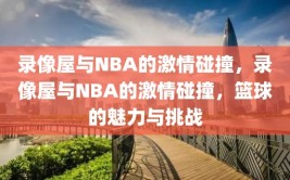 录像屋与NBA的激情碰撞，录像屋与NBA的激情碰撞，篮球的魅力与挑战