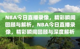 NBA今日直播录像，精彩瞬间回顾与解析，NBA今日直播录像，精彩瞬间回顾与深度解析