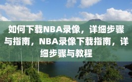 如何下载NBA录像，详细步骤与指南，NBA录像下载指南，详细步骤与教程