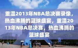 重温2013年NBA总决赛录像，热血沸腾的篮球盛宴，重温2013年NBA总决赛，热血沸腾的篮球盛宴