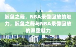 鲸鱼之舞，NBA录像回放的魅力，鲸鱼之舞与NBA录像回放的双重魅力