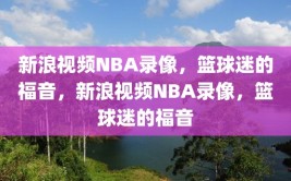 新浪视频NBA录像，篮球迷的福音，新浪视频NBA录像，篮球迷的福音