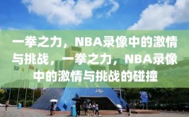 一拳之力，NBA录像中的激情与挑战，一拳之力，NBA录像中的激情与挑战的碰撞