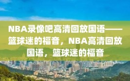 NBA录像吧高清回放国语——篮球迷的福音，NBA高清回放国语，篮球迷的福音