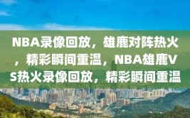 NBA录像回放，雄鹿对阵热火，精彩瞬间重温，NBA雄鹿VS热火录像回放，精彩瞬间重温