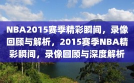 NBA2015赛季精彩瞬间，录像回顾与解析，2015赛季NBA精彩瞬间，录像回顾与深度解析