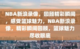 NBA新浪录像，回顾精彩瞬间，感受篮球魅力，NBA新浪录像，精彩瞬间回顾，篮球魅力尽收眼底