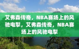 艾弗森传奇，NBA赛场上的风驰电掣，艾弗森传奇，NBA赛场上的风驰电掣