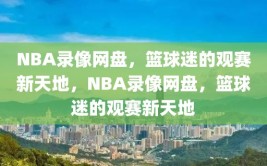 NBA录像网盘，篮球迷的观赛新天地，NBA录像网盘，篮球迷的观赛新天地