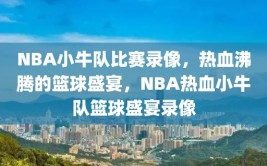 NBA小牛队比赛录像，热血沸腾的篮球盛宴，NBA热血小牛队篮球盛宴录像