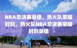 NBA总决赛录像，热火队荣耀时刻，热火队NBA总决赛荣耀时刻录像