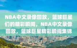 NBA中文录像回放，篮球巨星们的精彩瞬间，NBA中文录像回放，篮球巨星精彩瞬间集锦