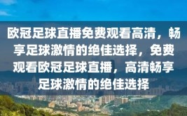 欧冠足球直播免费观看高清，畅享足球激情的绝佳选择，免费观看欧冠足球直播，高清畅享足球激情的绝佳选择