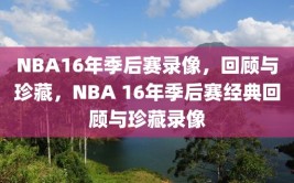 NBA16年季后赛录像，回顾与珍藏，NBA 16年季后赛经典回顾与珍藏录像