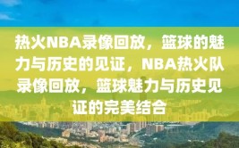 热火NBA录像回放，篮球的魅力与历史的见证，NBA热火队录像回放，篮球魅力与历史见证的完美结合