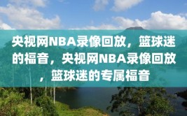 央视网NBA录像回放，篮球迷的福音，央视网NBA录像回放，篮球迷的专属福音